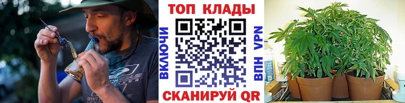 Наркота Снежногорск КОКАИН НБОМе АМФЕТАМИН Конопля Меф